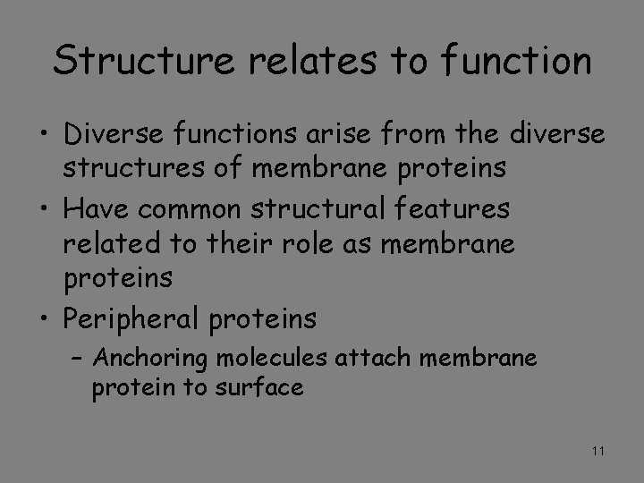 Structure relates to function • Diverse functions arise from the diverse structures of membrane