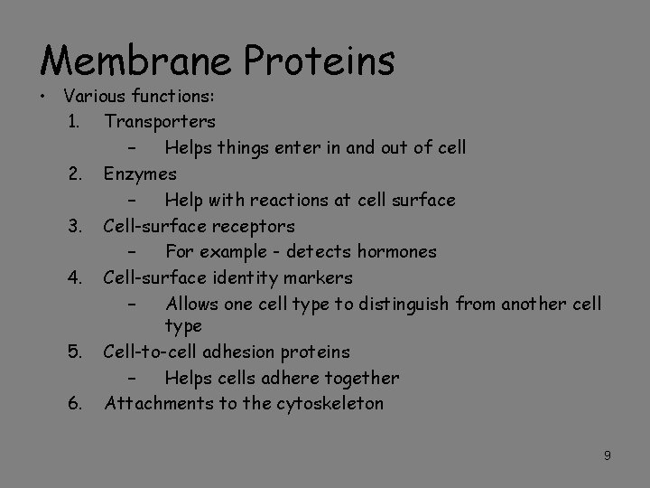 Membrane Proteins • Various functions: 1. Transporters – Helps things enter in and out