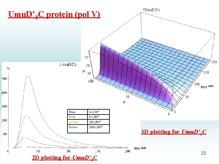 Umu. D’ 2 C protein (pol V) min Blue 1 J /m 2 Pink