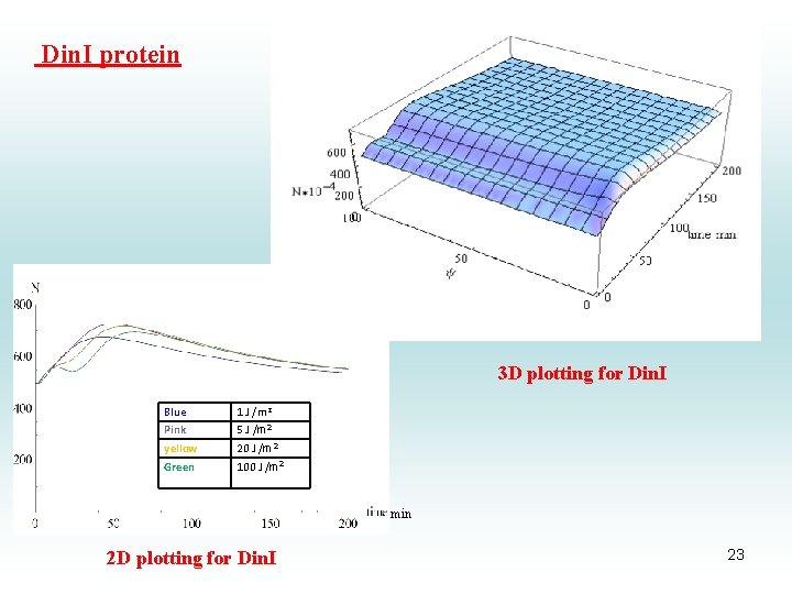 Din. I protein 3 D plotting for Din. I Blue 1 J /m 2