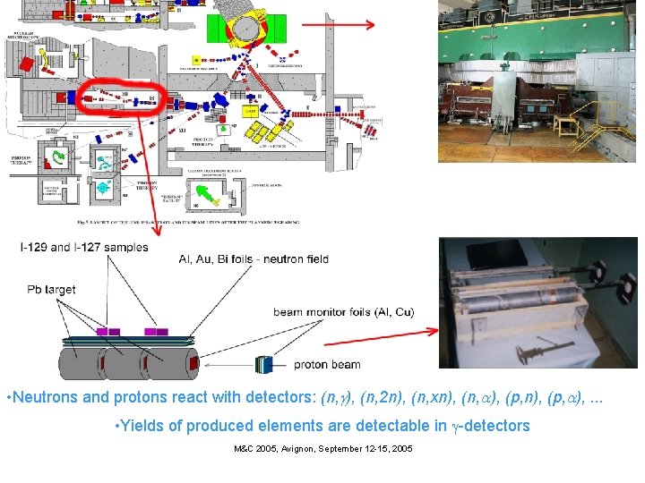  • Neutrons and protons react with detectors: (n, g), (n, 2 n), (n,