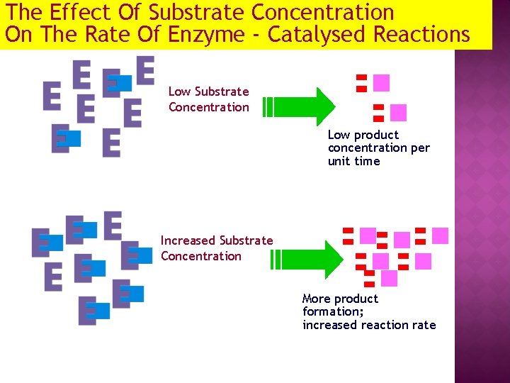 The Effect Of Substrate Concentration On The Rate Of Enzyme - Catalysed Reactions Low