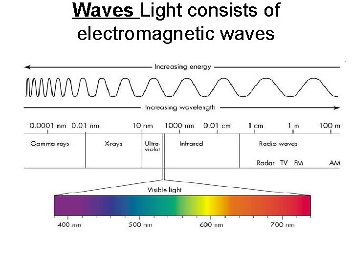 Waves Light consists of electromagnetic waves 