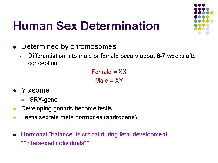 Human Sex Determination l Determined by chromosomes § Differentiation into male or female occurs