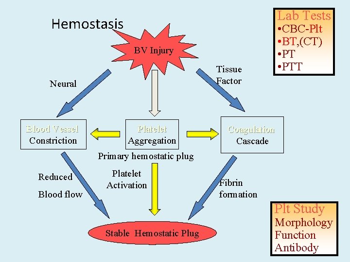 Lab Tests Hemostasis • CBC-Plt • BT, (CT) • PTT BV Injury Tissue Factor