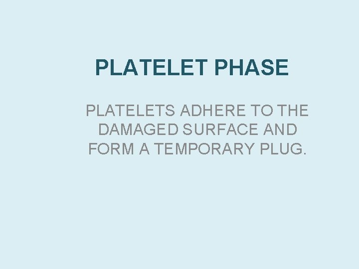 PLATELET PHASE PLATELETS ADHERE TO THE DAMAGED SURFACE AND FORM A TEMPORARY PLUG. 