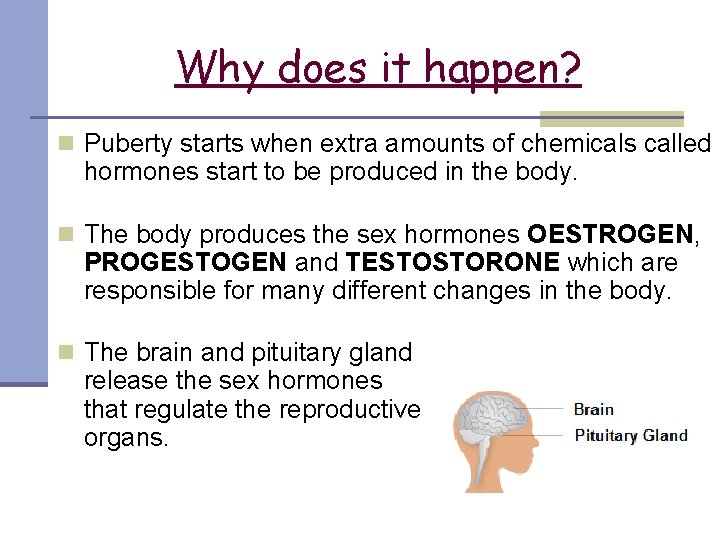 Why does it happen? n Puberty starts when extra amounts of chemicals called hormones