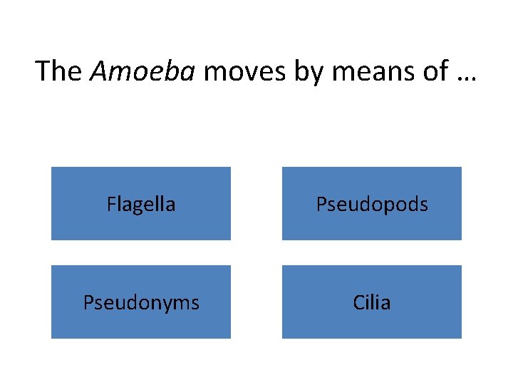 The Amoeba moves by means of … Flagella Pseudopods Pseudonyms Cilia 
