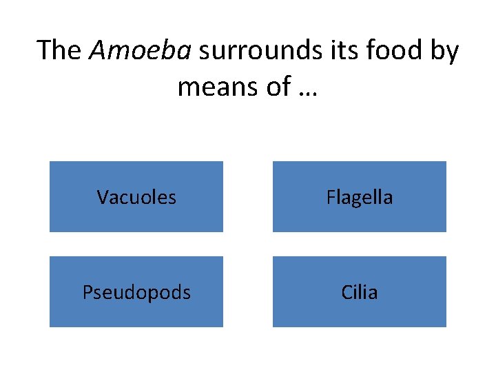 The Amoeba surrounds its food by means of … Vacuoles Flagella Pseudopods Cilia 