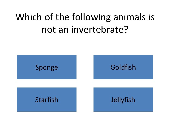 Which of the following animals is not an invertebrate? Sponge Goldfish Starfish Jellyfish 