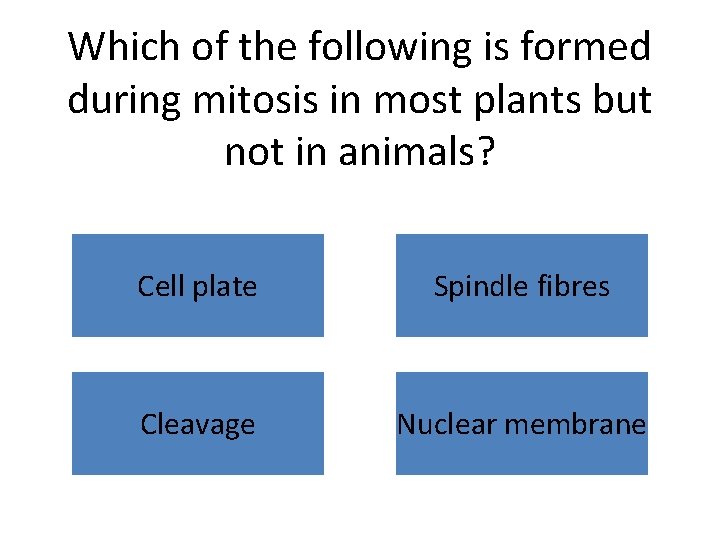 Which of the following is formed during mitosis in most plants but not in