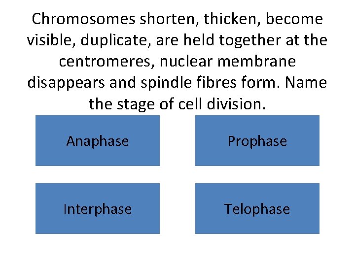 Chromosomes shorten, thicken, become visible, duplicate, are held together at the centromeres, nuclear membrane