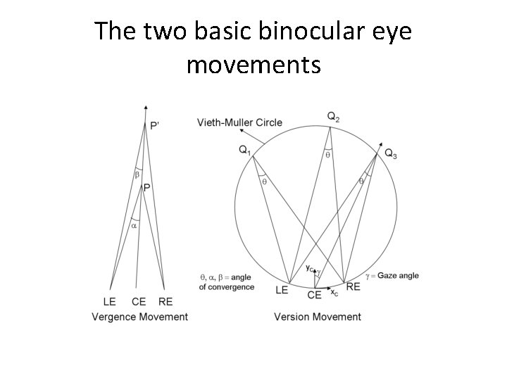The two basic binocular eye movements 