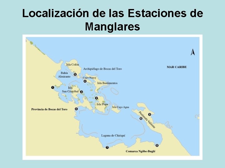 Localización de las Estaciones de Manglares 