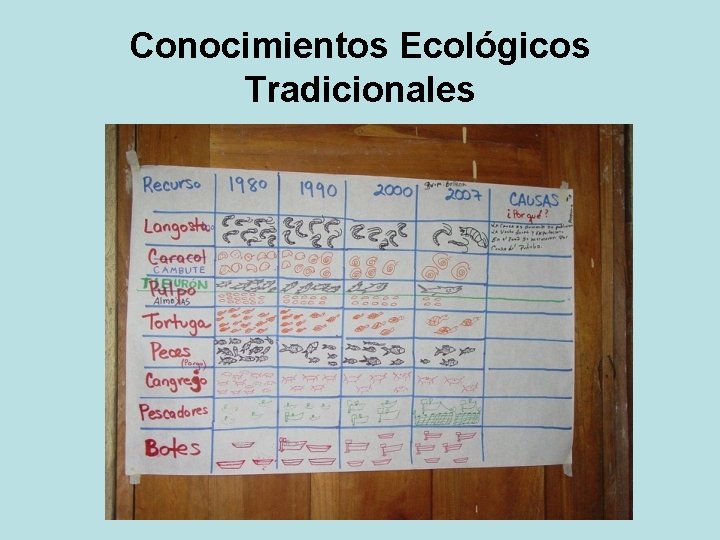 Conocimientos Ecológicos Tradicionales 