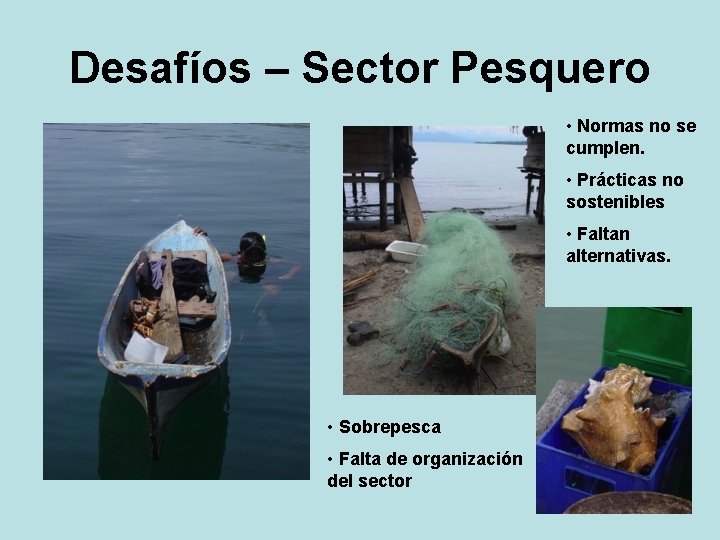 Desafíos – Sector Pesquero • Normas no se cumplen. • Prácticas no sostenibles •