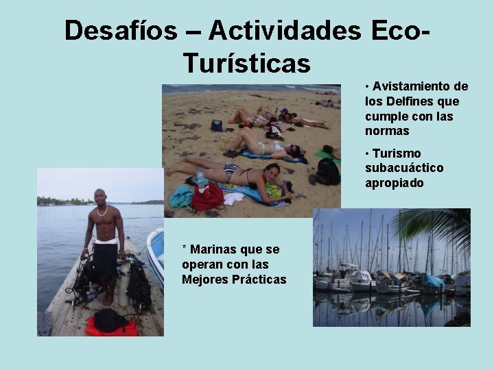 Desafíos – Actividades Eco. Turísticas • Avistamiento de los Delfines que cumple con las