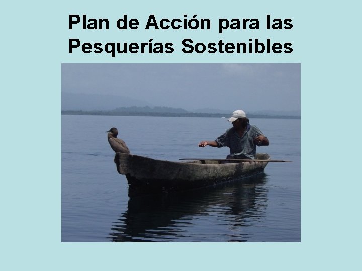 Plan de Acción para las Pesquerías Sostenibles 