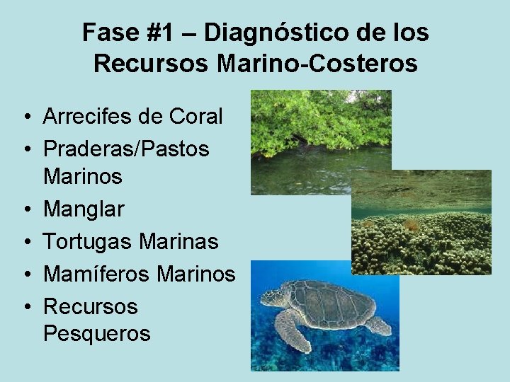 Fase #1 – Diagnóstico de los Recursos Marino-Costeros • Arrecifes de Coral • Praderas/Pastos