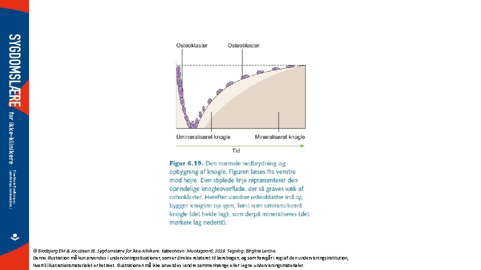 © Bladbjerg EM & Jacobsen JB. Sygdomslære for ikke-klinikere. København: Munksgaard; 2019. Tegning: Birgitte