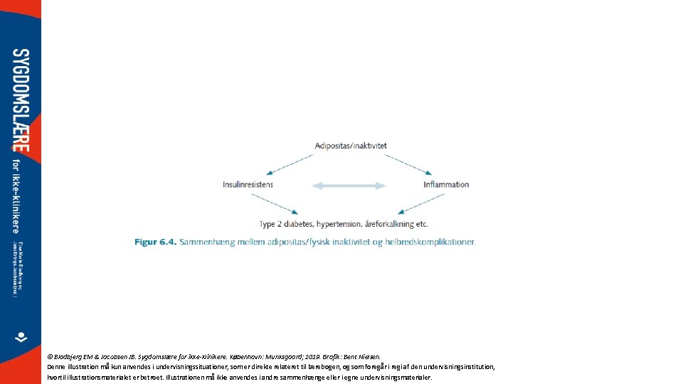 © Bladbjerg EM & Jacobsen JB. Sygdomslære for ikke-klinikere. København: Munksgaard; 2019. Grafik: Bent
