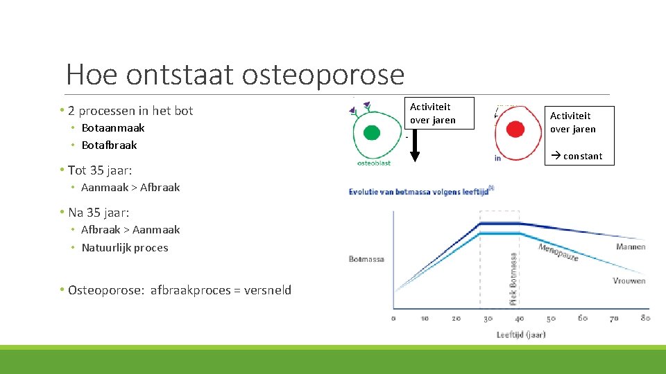 Hoe ontstaat osteoporose • 2 processen in het bot • Botaanmaak • Botafbraak •