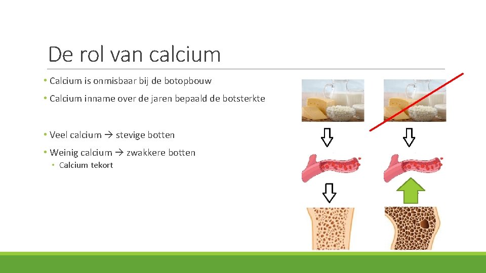 De rol van calcium • Calcium is onmisbaar bij de botopbouw • Calcium inname