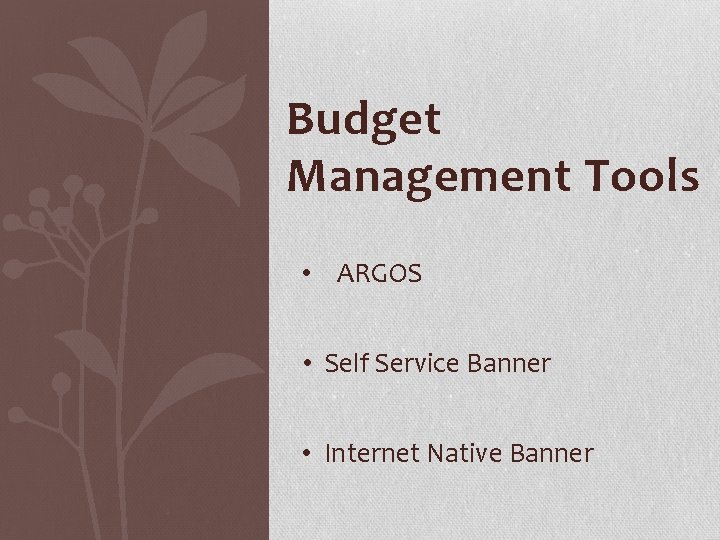 Budget Management Tools • ARGOS • Self Service Banner • Internet Native Banner 