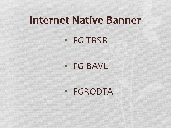 Internet Native Banner • FGITBSR • FGIBAVL • FGRODTA 