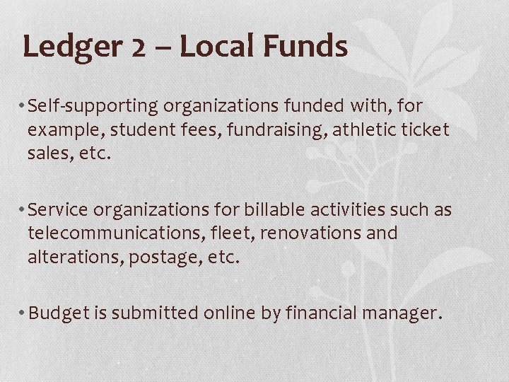 Ledger 2 – Local Funds • Self-supporting organizations funded with, for example, student fees,