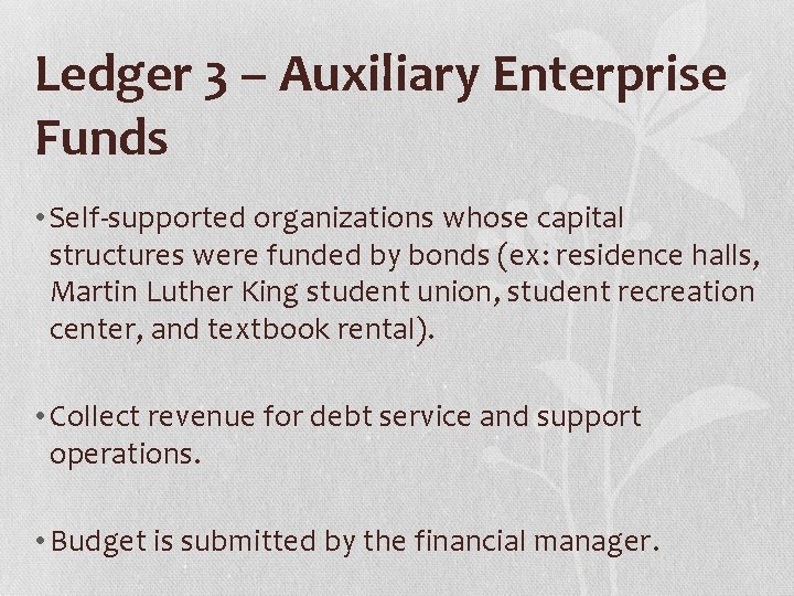 Ledger 3 – Auxiliary Enterprise Funds • Self-supported organizations whose capital structures were funded