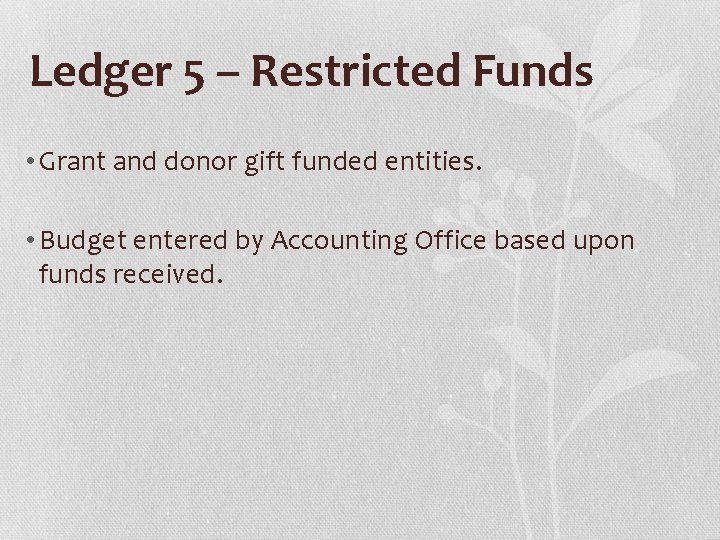 Ledger 5 – Restricted Funds • Grant and donor gift funded entities. • Budget