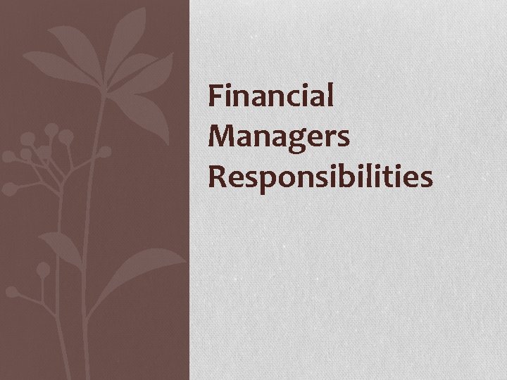 Financial Managers Responsibilities 