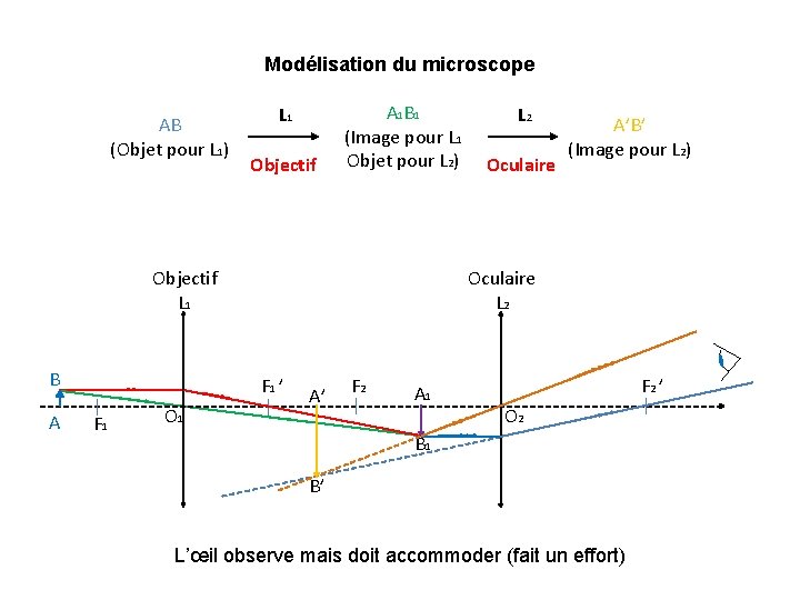 Modélisation du microscope AB (Objet pour L 1) L 1 Objectif A 1 B