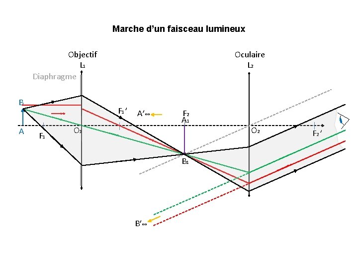 Marche d’un faisceau lumineux Oculaire L 2 Objectif L 1 Diaphragme B A F
