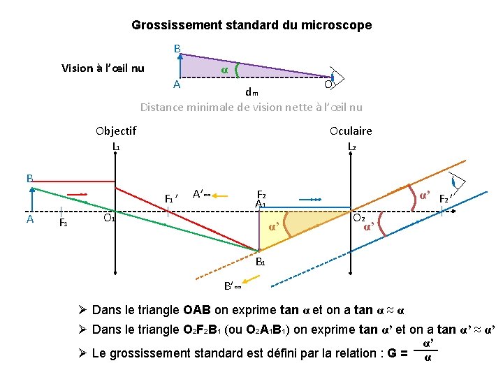 Grossissement standard du microscope B Vision à l’œil nu α A O dm Distance