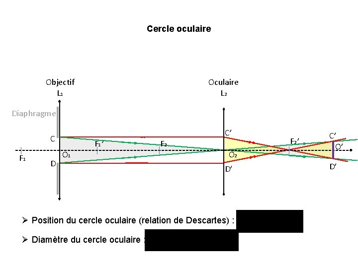 Cercle oculaire Objectif L 1 Oculaire L 2 Diaphragme C’ C F 1 D