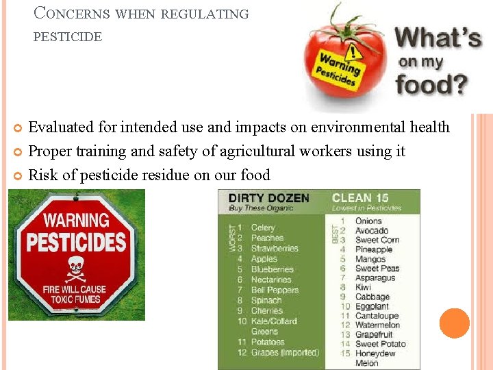 CONCERNS WHEN REGULATING PESTICIDE Evaluated for intended use and impacts on environmental health Proper