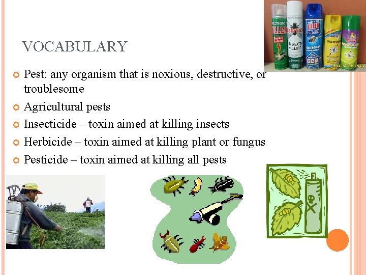 VOCABULARY Pest: any organism that is noxious, destructive, or troublesome Agricultural pests Insecticide –