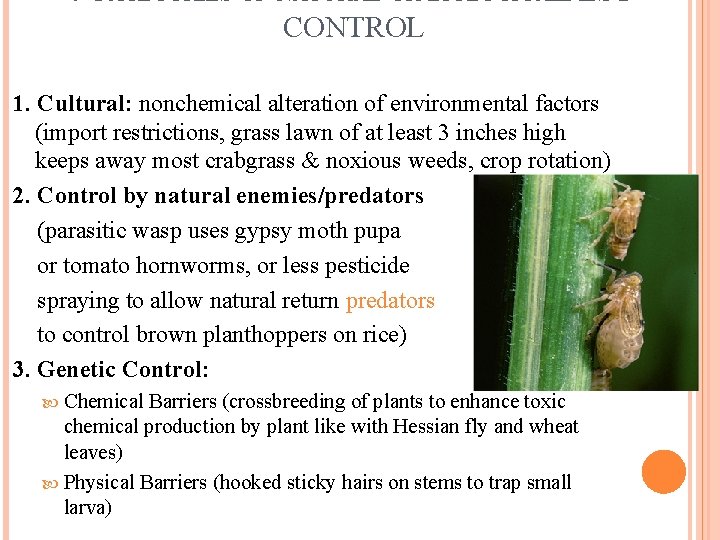 4 CATEGORIES OF NATURAL OR BIOLOGICALPEST CONTROL 1. Cultural: nonchemical alteration of environmental factors