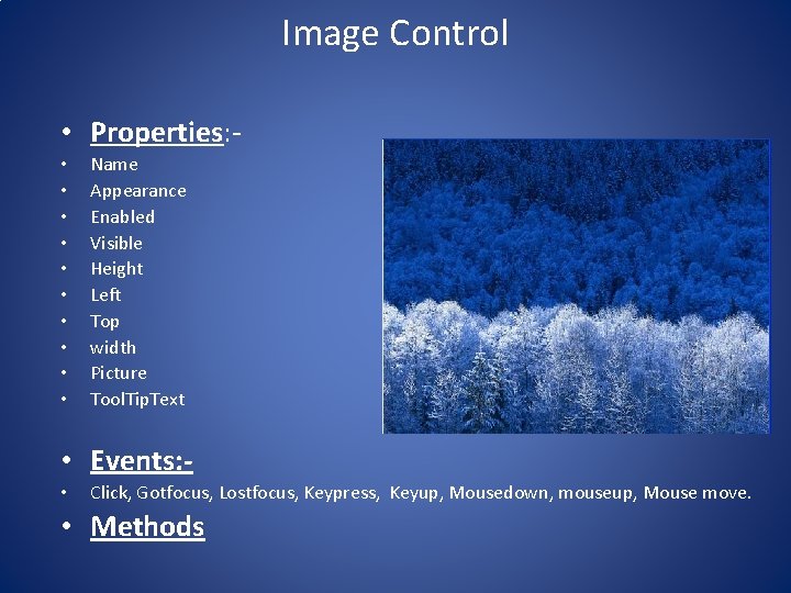 Image Control • Properties: • • • Name Appearance Enabled Visible Height Left Top Image Control • Properties: • • • Name Appearance Enabled Visible Height Left Top
