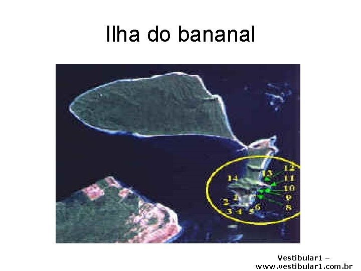 Ilha do bananal Vestibular 1 – www. vestibular 1. com. br 