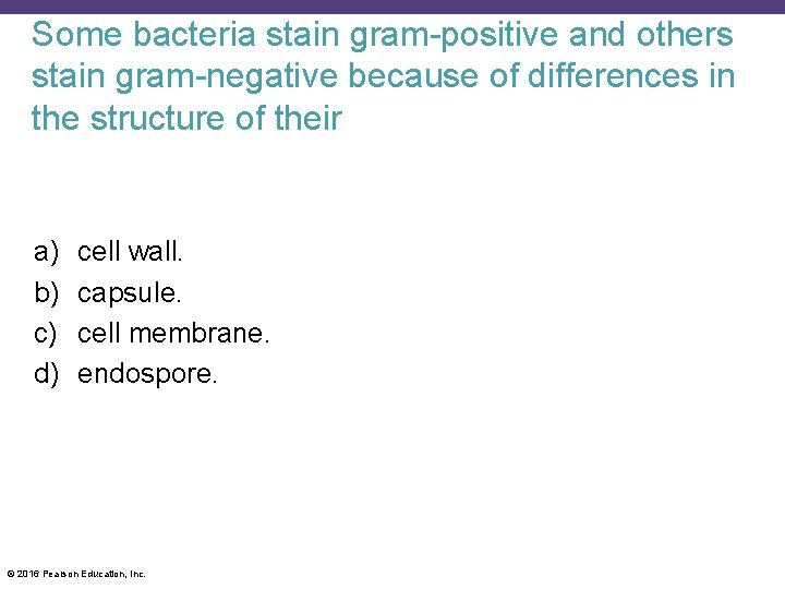 Some bacteria stain gram-positive and others stain gram-negative because of differences in the structure