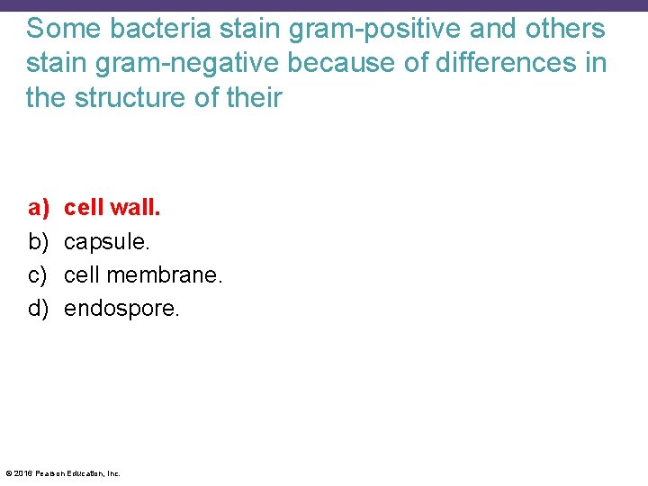 Some bacteria stain gram-positive and others stain gram-negative because of differences in the structure