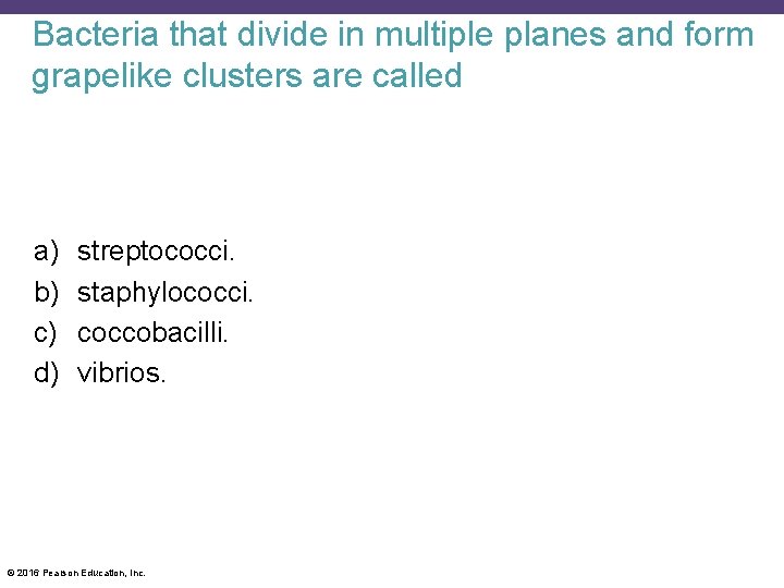Bacteria that divide in multiple planes and form grapelike clusters are called a) b)