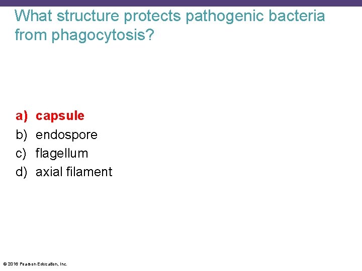 What structure protects pathogenic bacteria from phagocytosis? a) b) c) d) capsule endospore flagellum