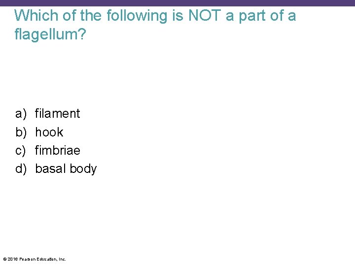 Which of the following is NOT a part of a flagellum? a) b) c)