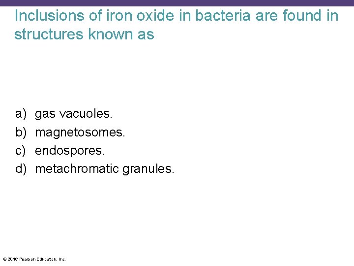 Inclusions of iron oxide in bacteria are found in structures known as a) b)