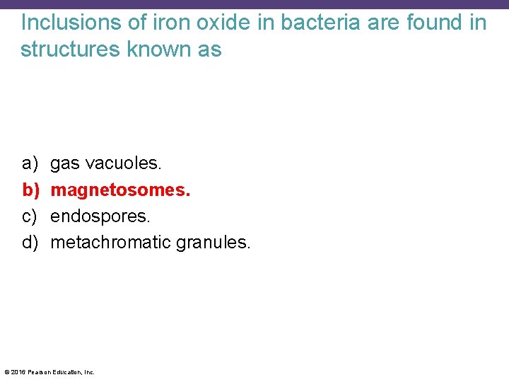 Inclusions of iron oxide in bacteria are found in structures known as a) b)