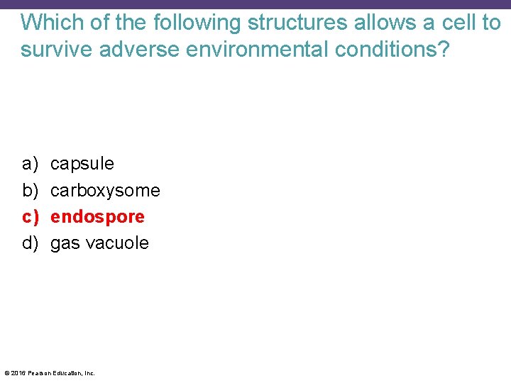 Which of the following structures allows a cell to survive adverse environmental conditions? a)